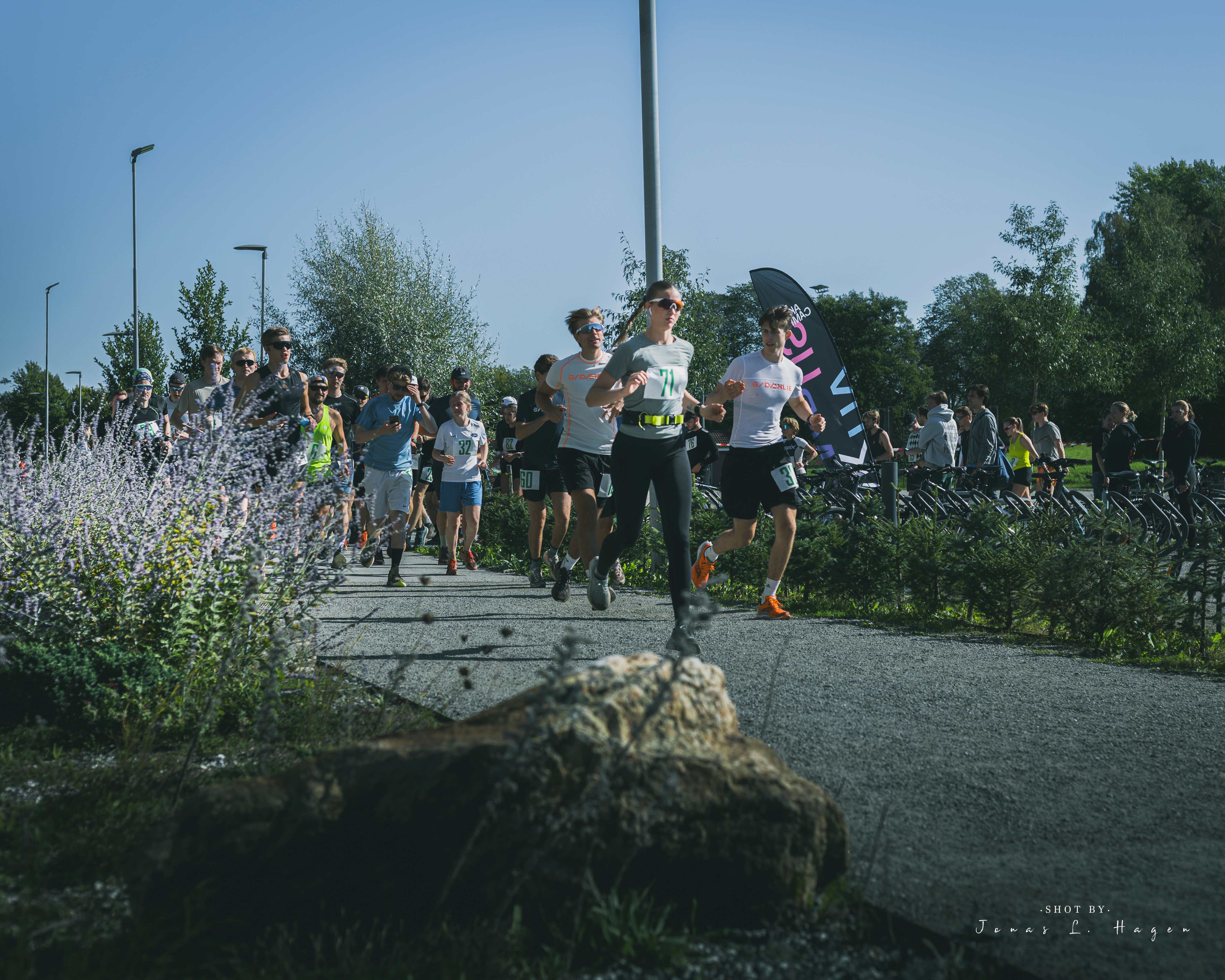 Runners on the course with lavender plants